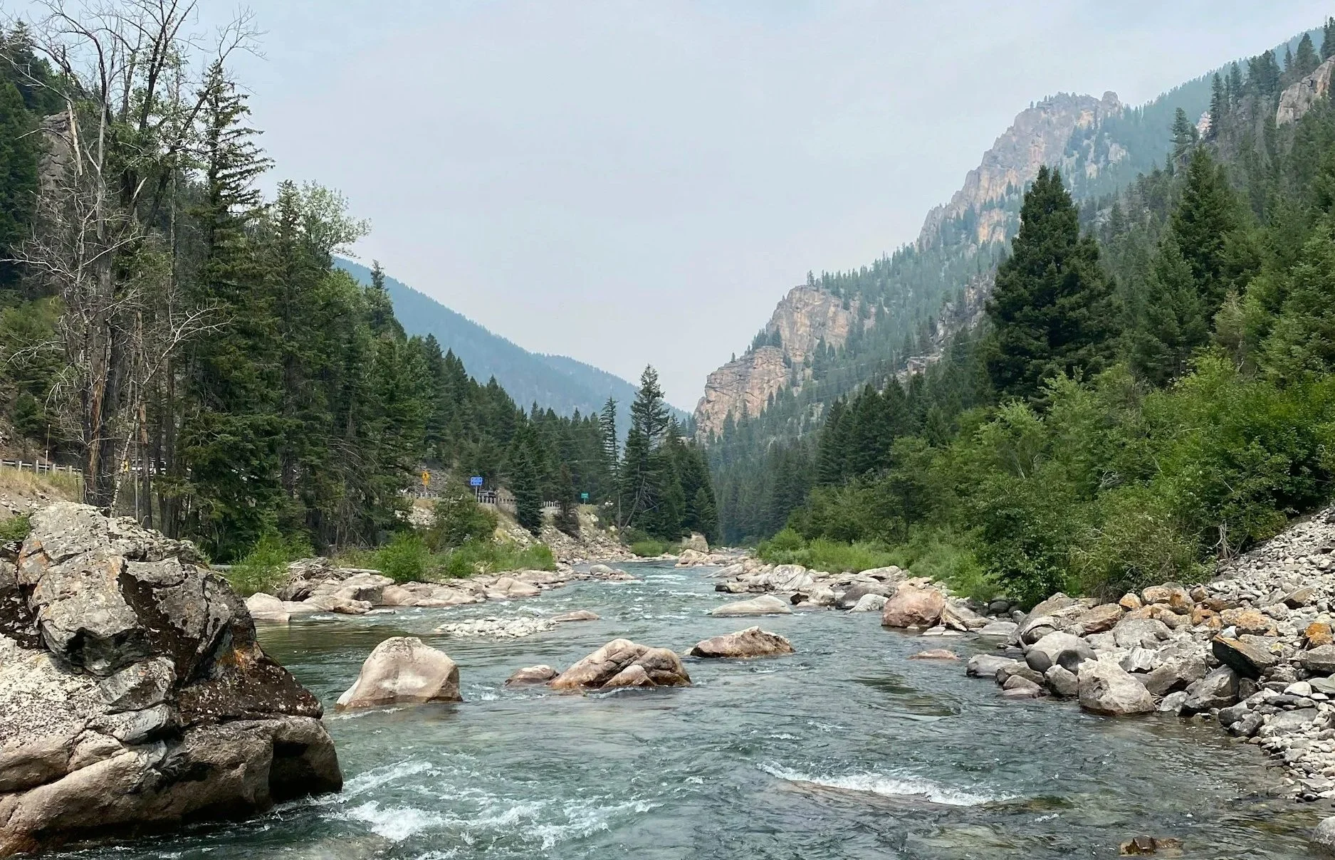 Gallatin River Fly Fishing Guide Trips