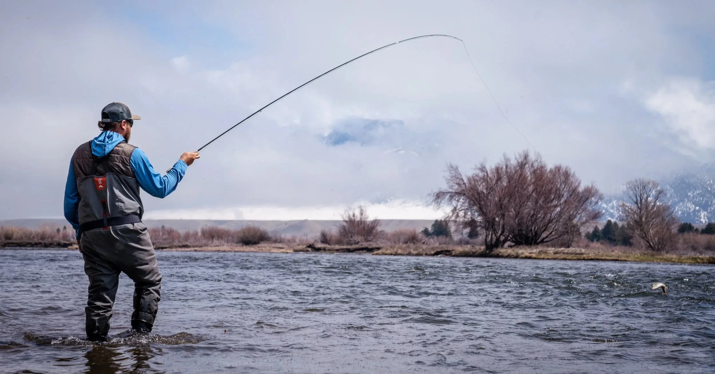 angler fly fishing on the upper madison river in spring, hooked up to a jumping rainbow trout