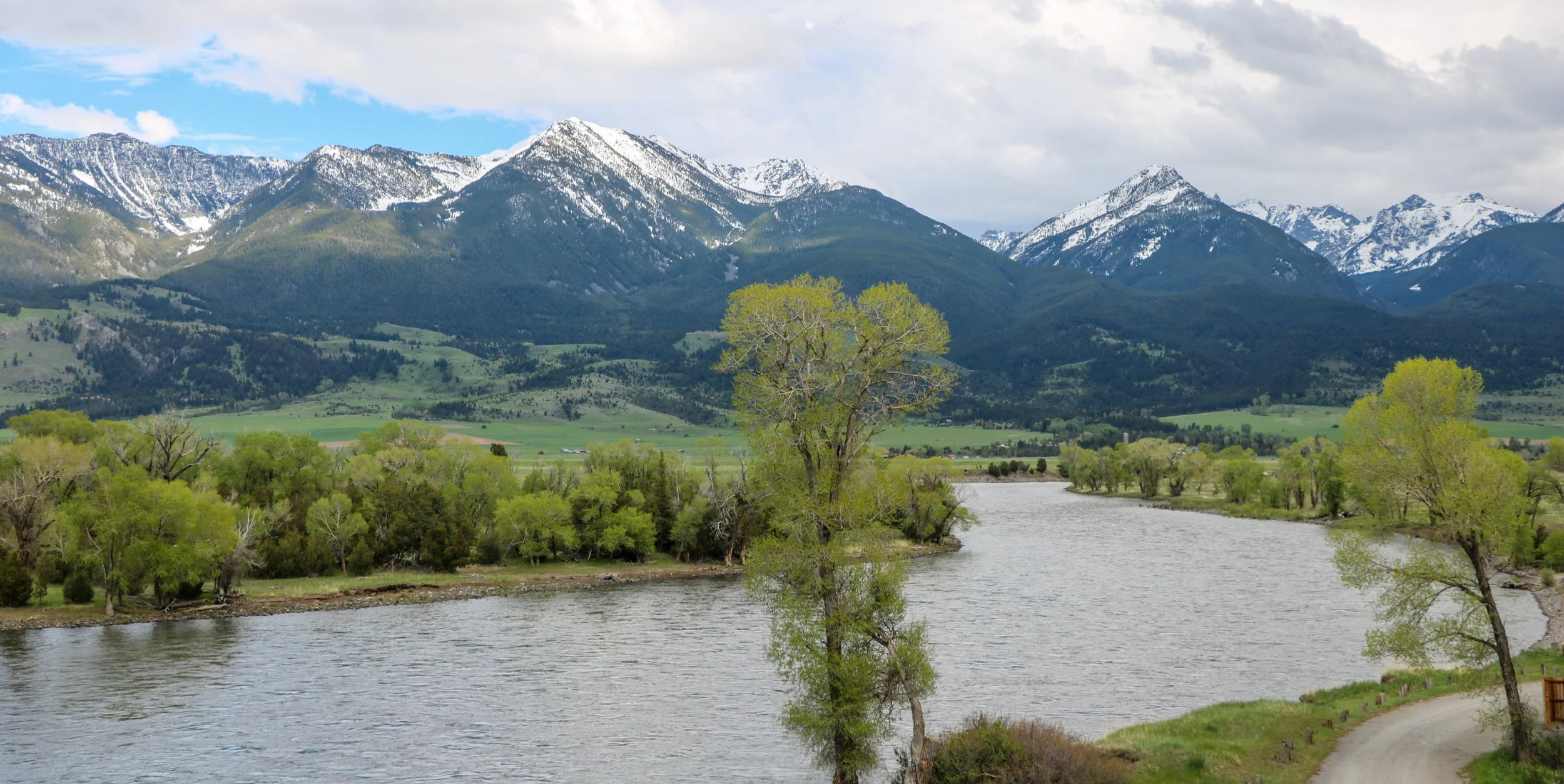 Yellowstone River Fly Fishing Guide Trips