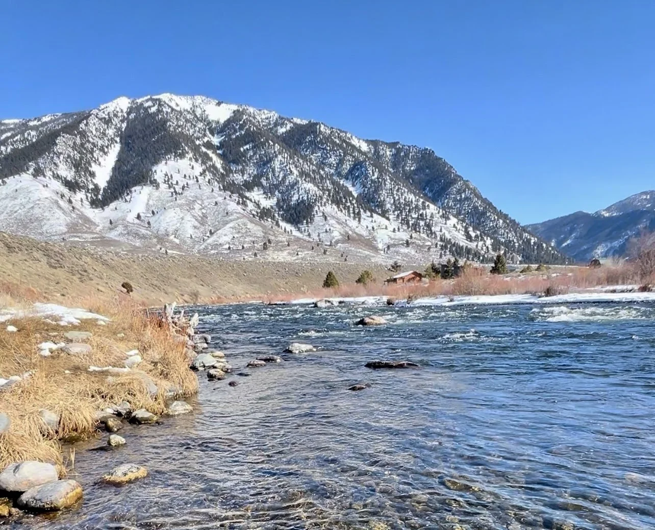 Winter Fly Fishing - Madison River Montana