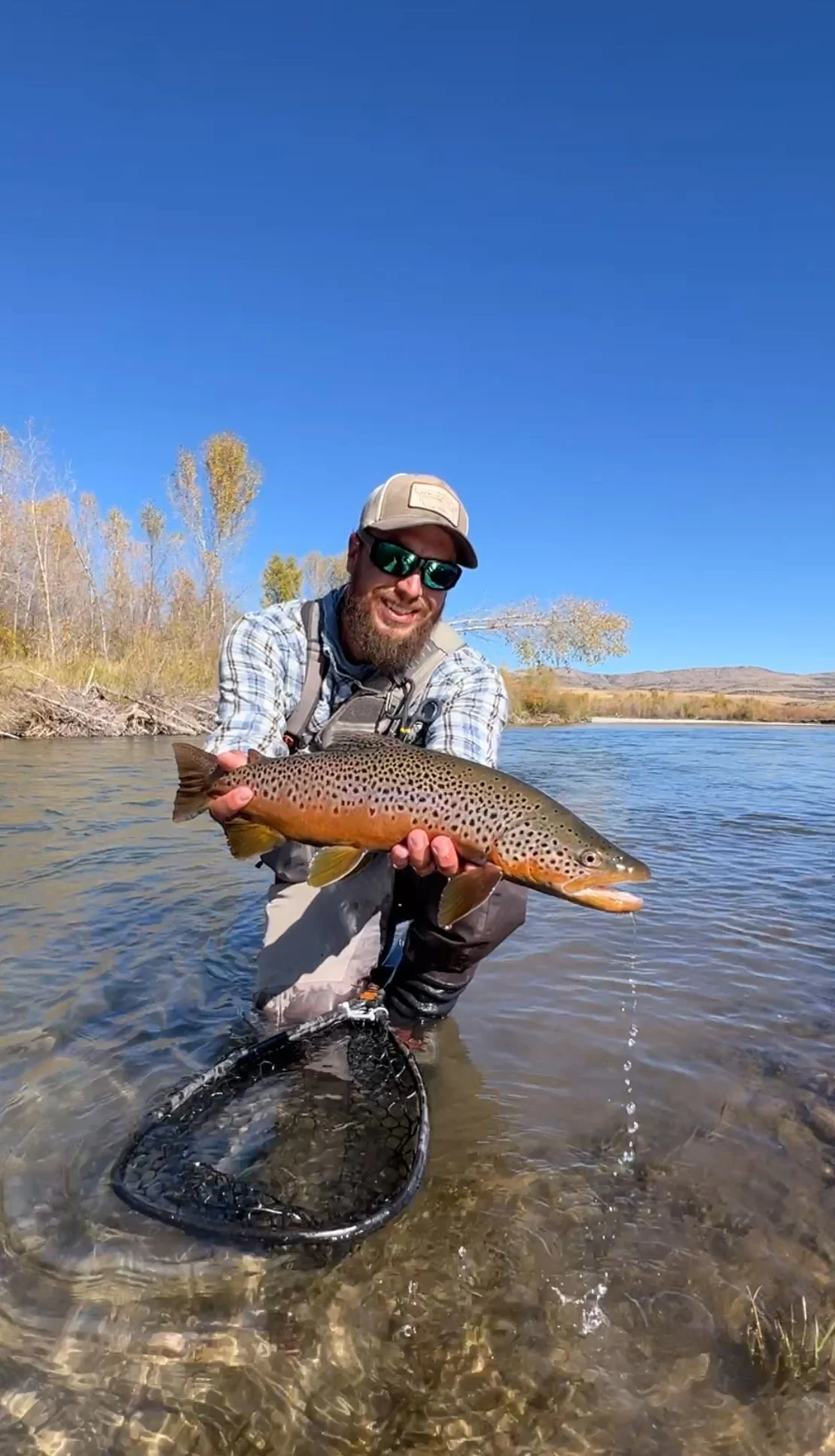 Angler holding a large fish, standing in the gallatin river with trees and mountains in the background on a clear day.