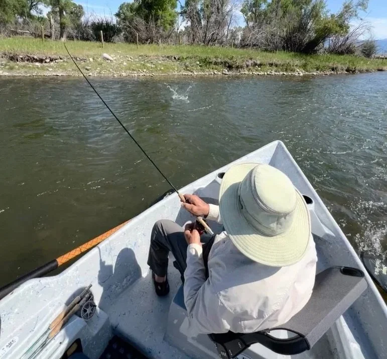 Dry Fly Fishing Upper Madison River Montana