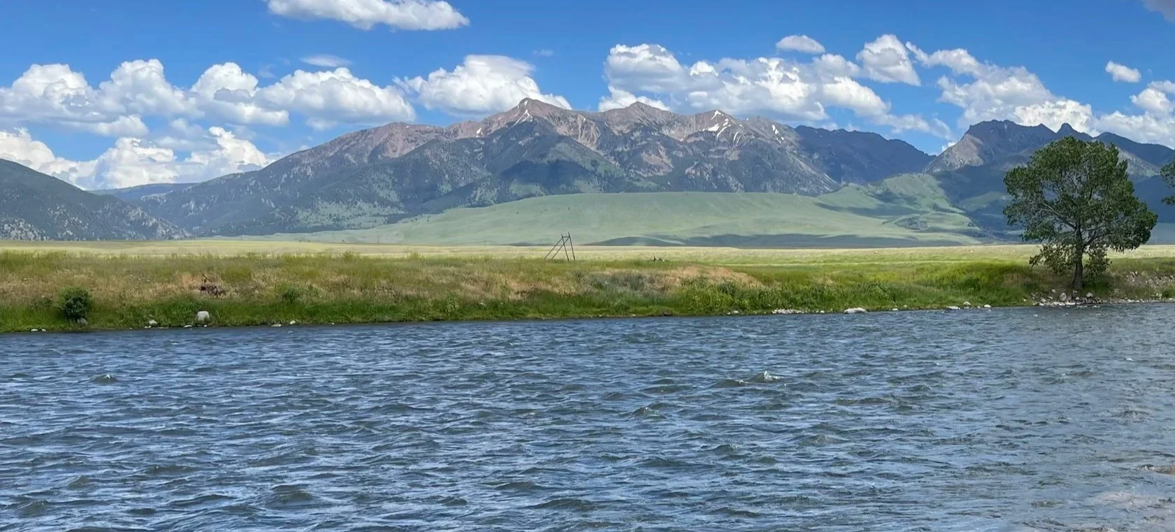 Bozeman Montana fly fishing guide trips on the Madison river