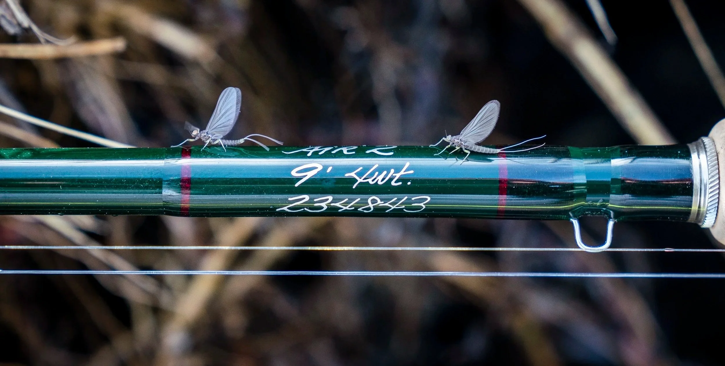 winston fly rod with mayflies sitting on it