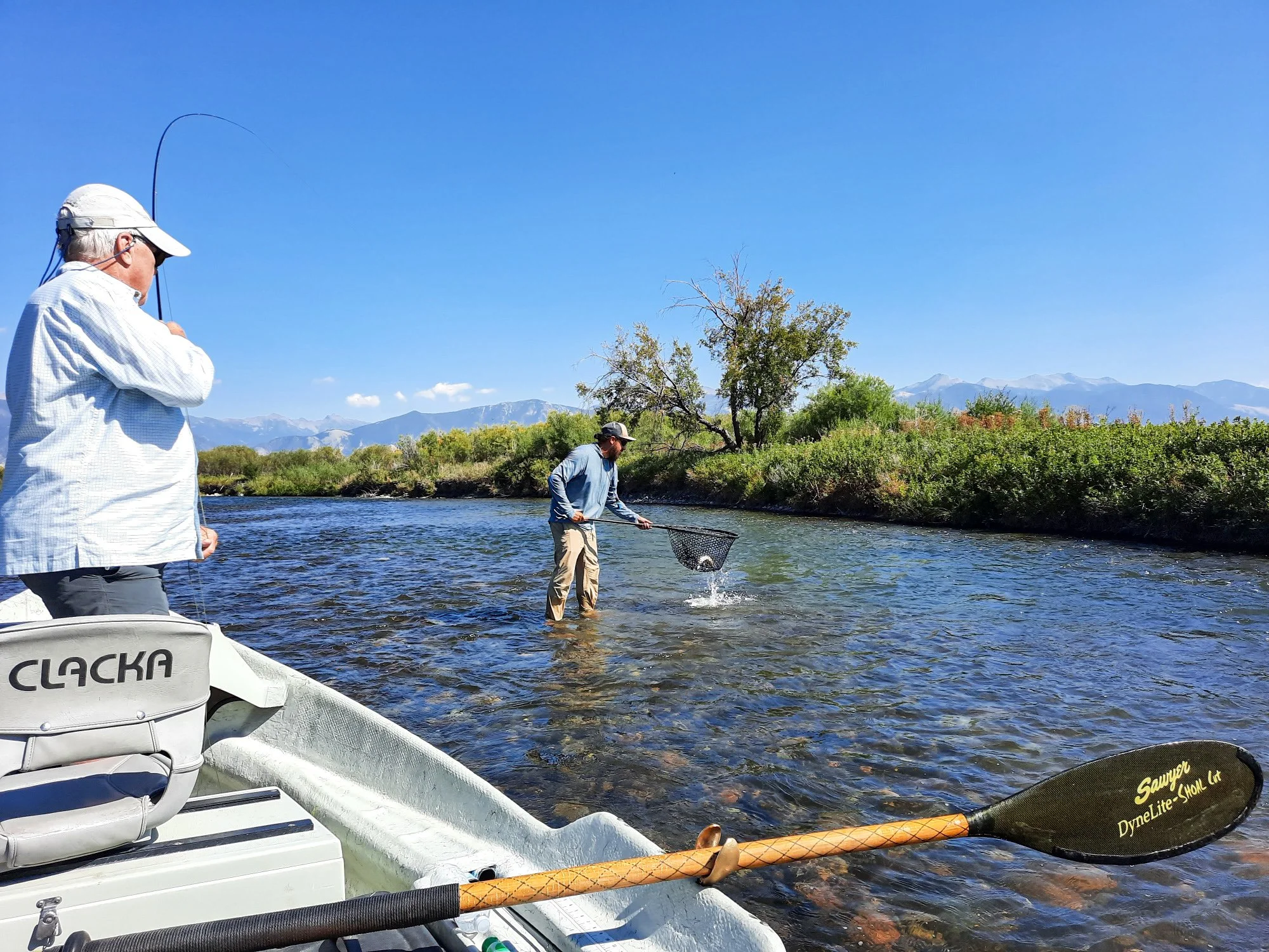 Fly Fishing Guide netting a fish while the angler fights the fish on a fly fishing guided float trip on the Madison River in Montana