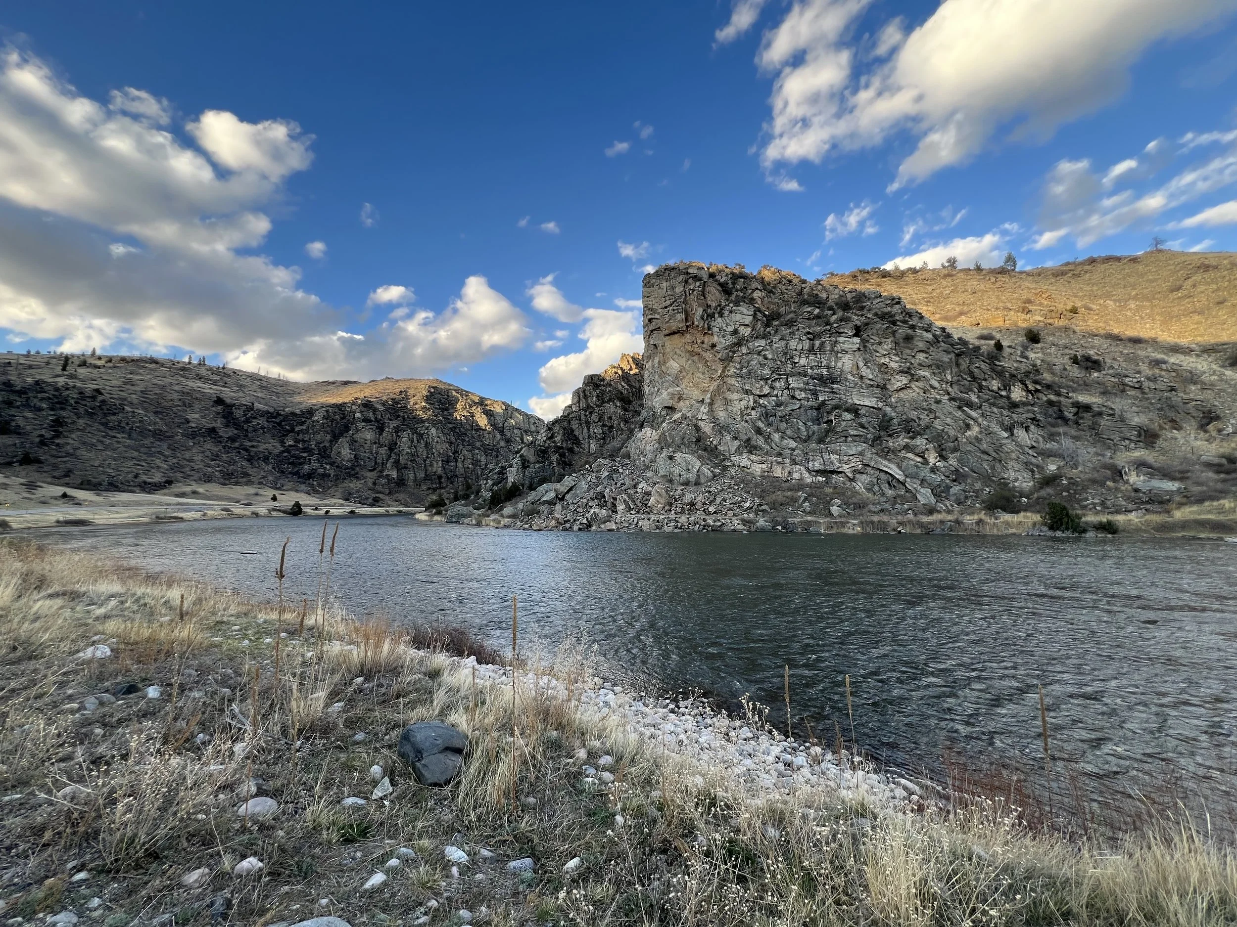 Lower Madison River Fly Fishing Report