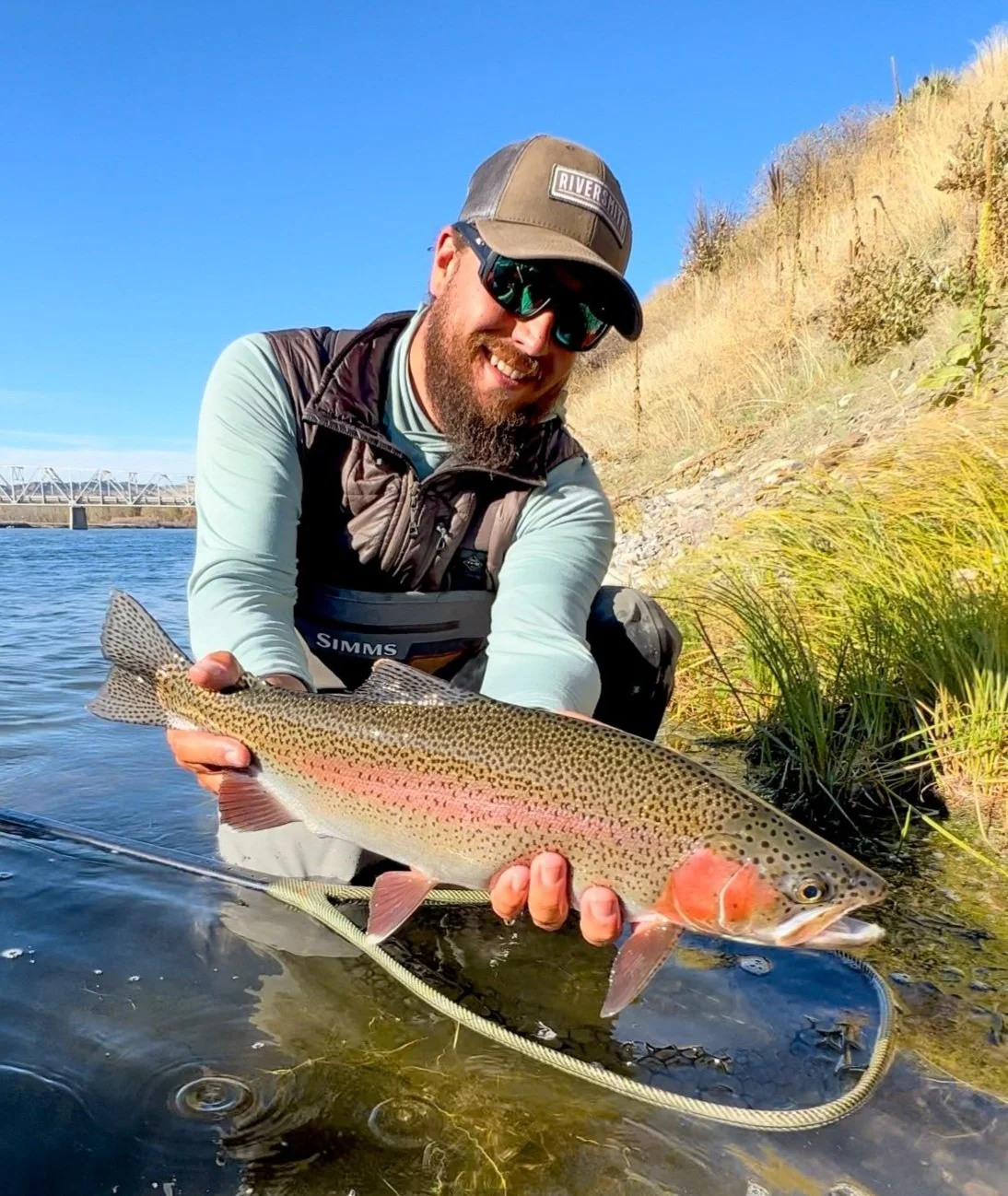 Rising Trout Fly Fishing Guide holding a wild rainbow trout on the missouri river near craig montana with the wolf creek bridge in the background