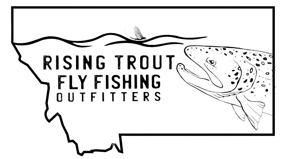 Logo for Rising Trout Fly Fishing Outfitters with an outline of the state of Montana, a trout image, and a fly fishing fly above the water line.