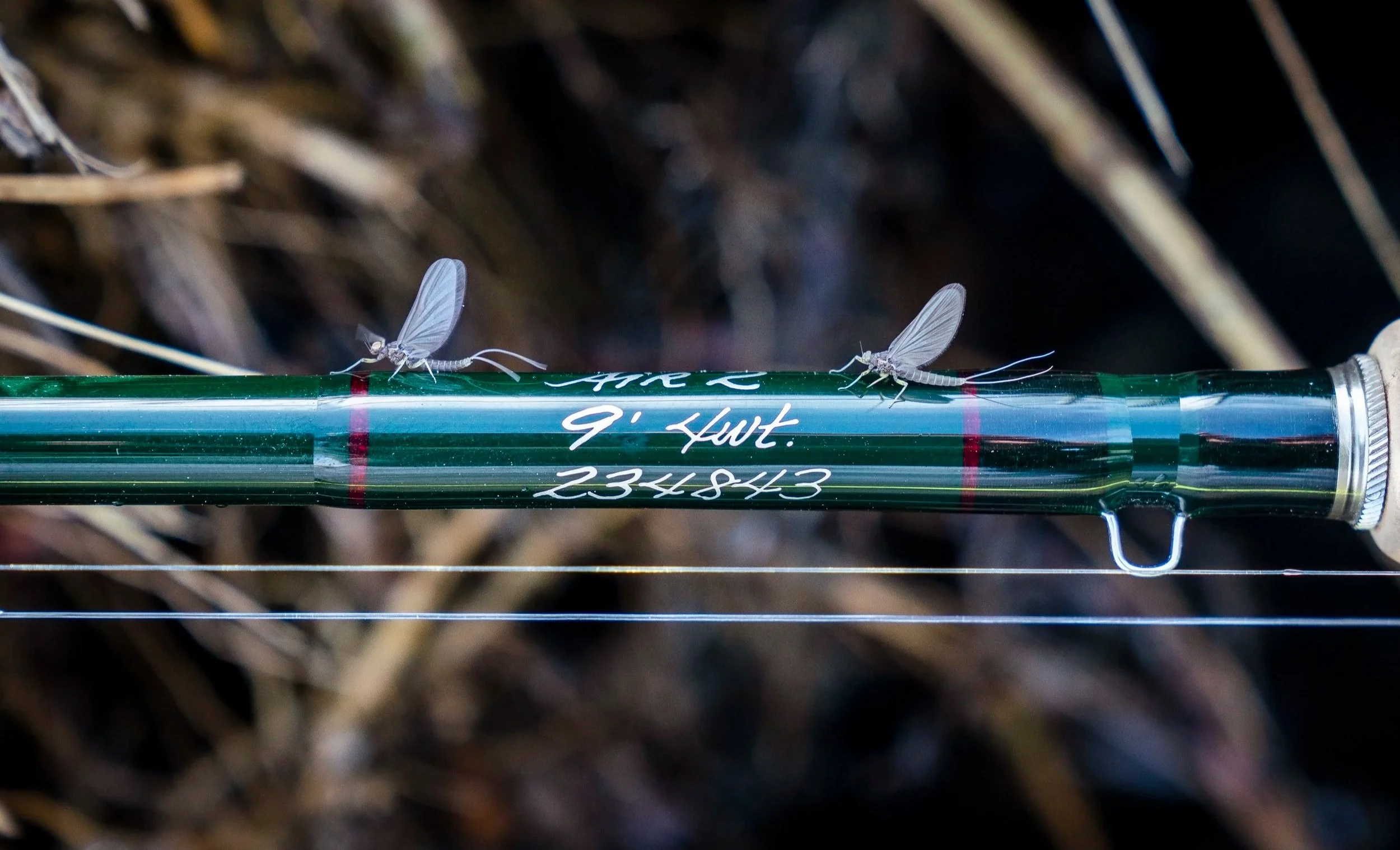 April Hatches in Montana