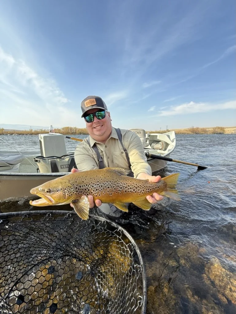 Madison River Brown Trout