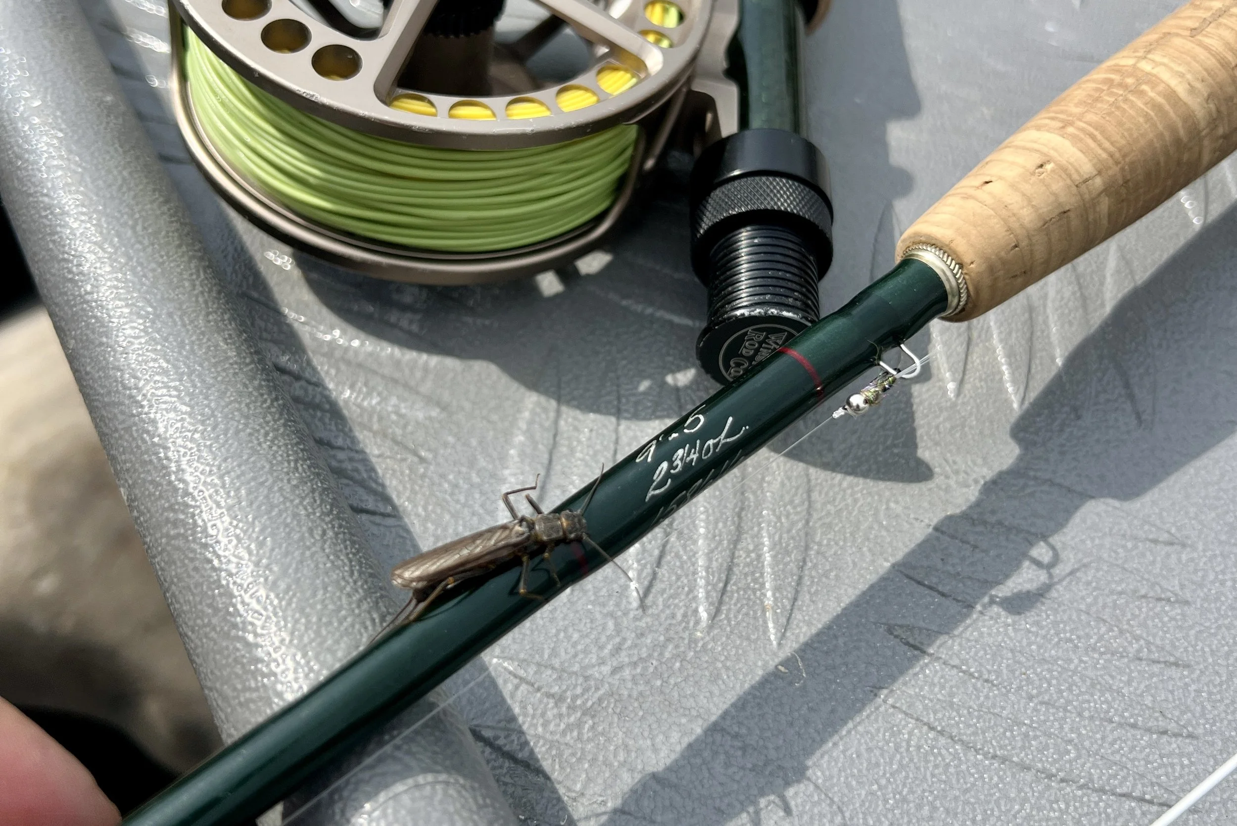 skwalla fly on a winston fly rod