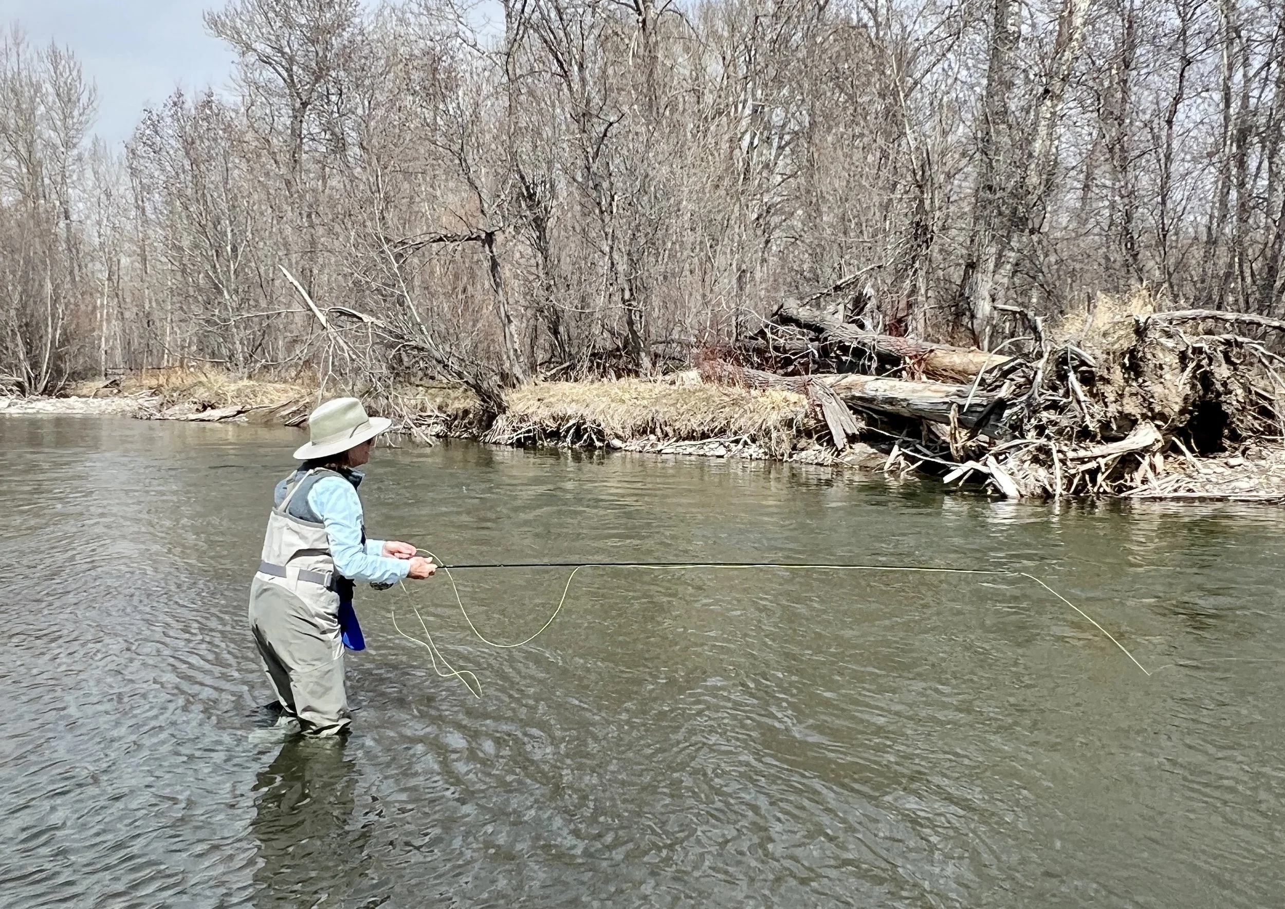 Angler Fishing the Gallatin River in Spring