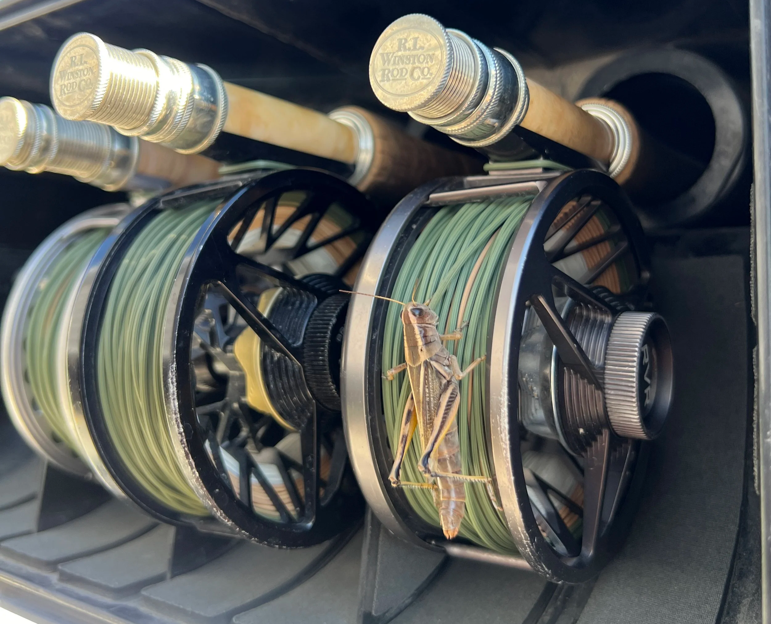 Montana Summer Hatches and Best Flies