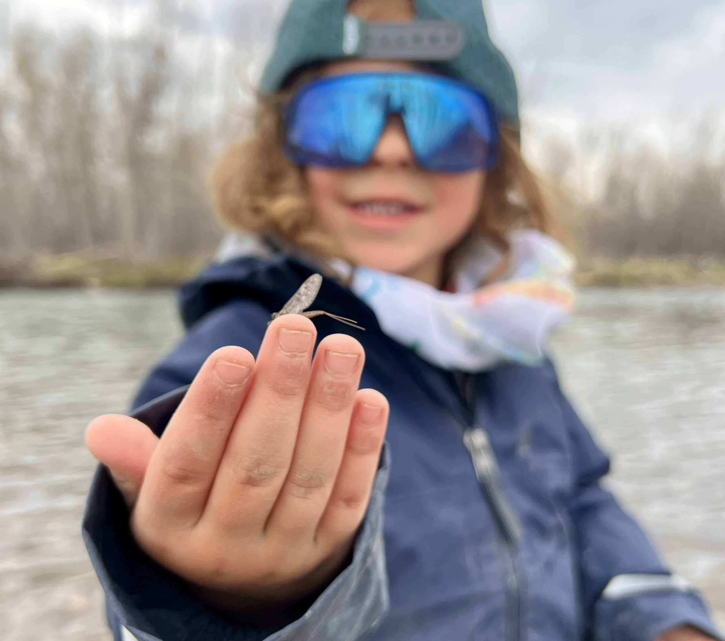 Spring Dry Fly Fishing Gallatin River Near Bozeman