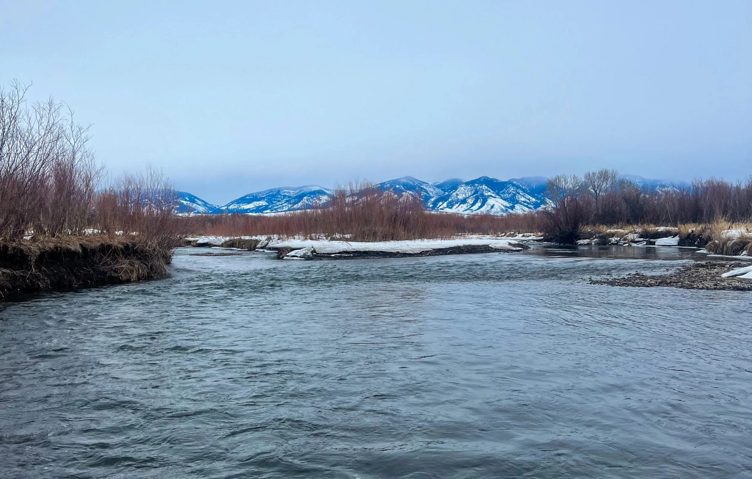 Gallatin river in march. snow covered banks with the bridger range in the background