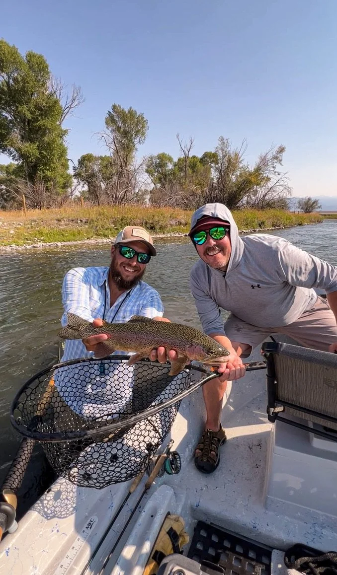 Madison River Rainbow Trout