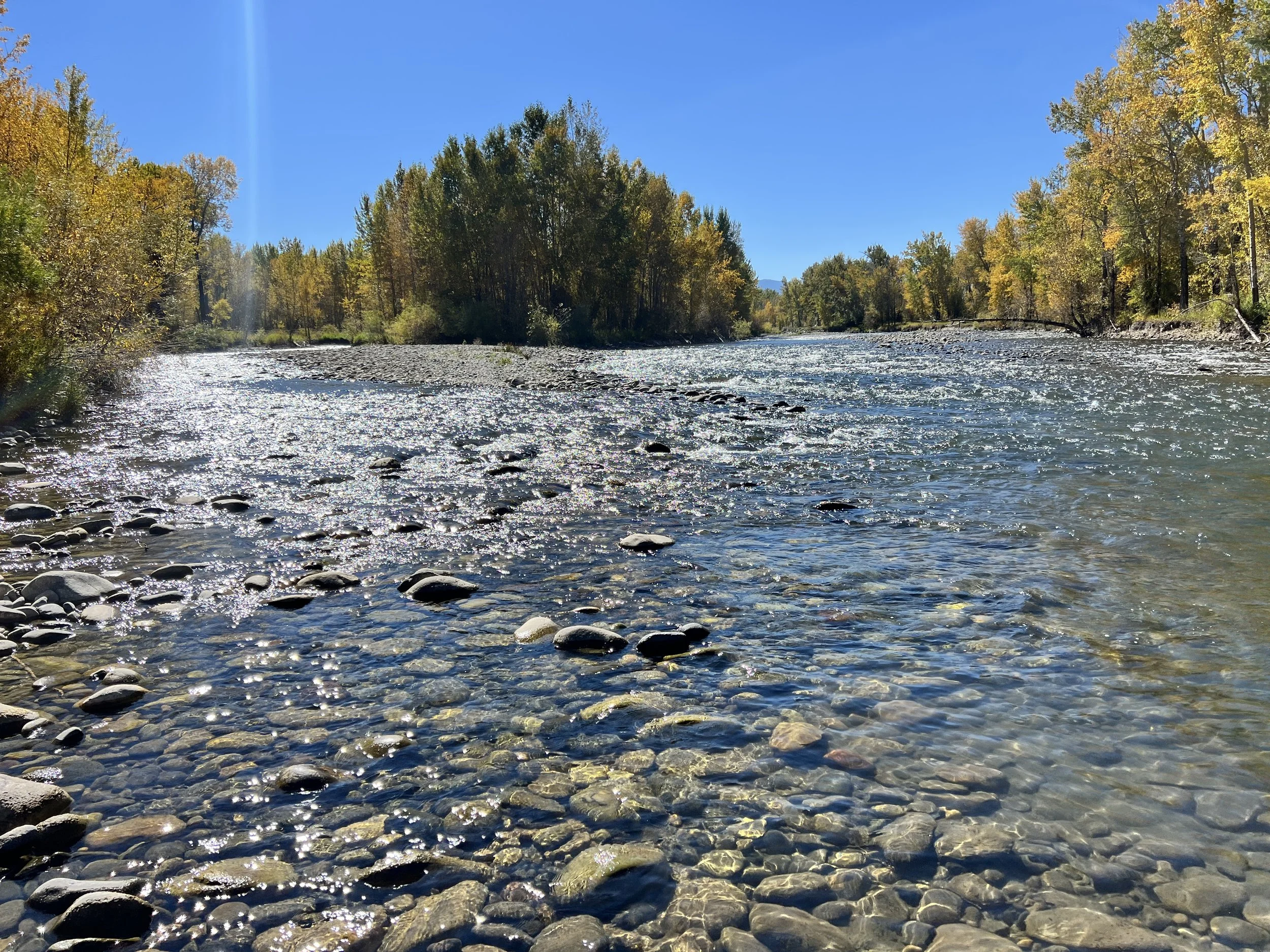A clear river flowing through a forest with autumn-colored trees under a bright blue sky.