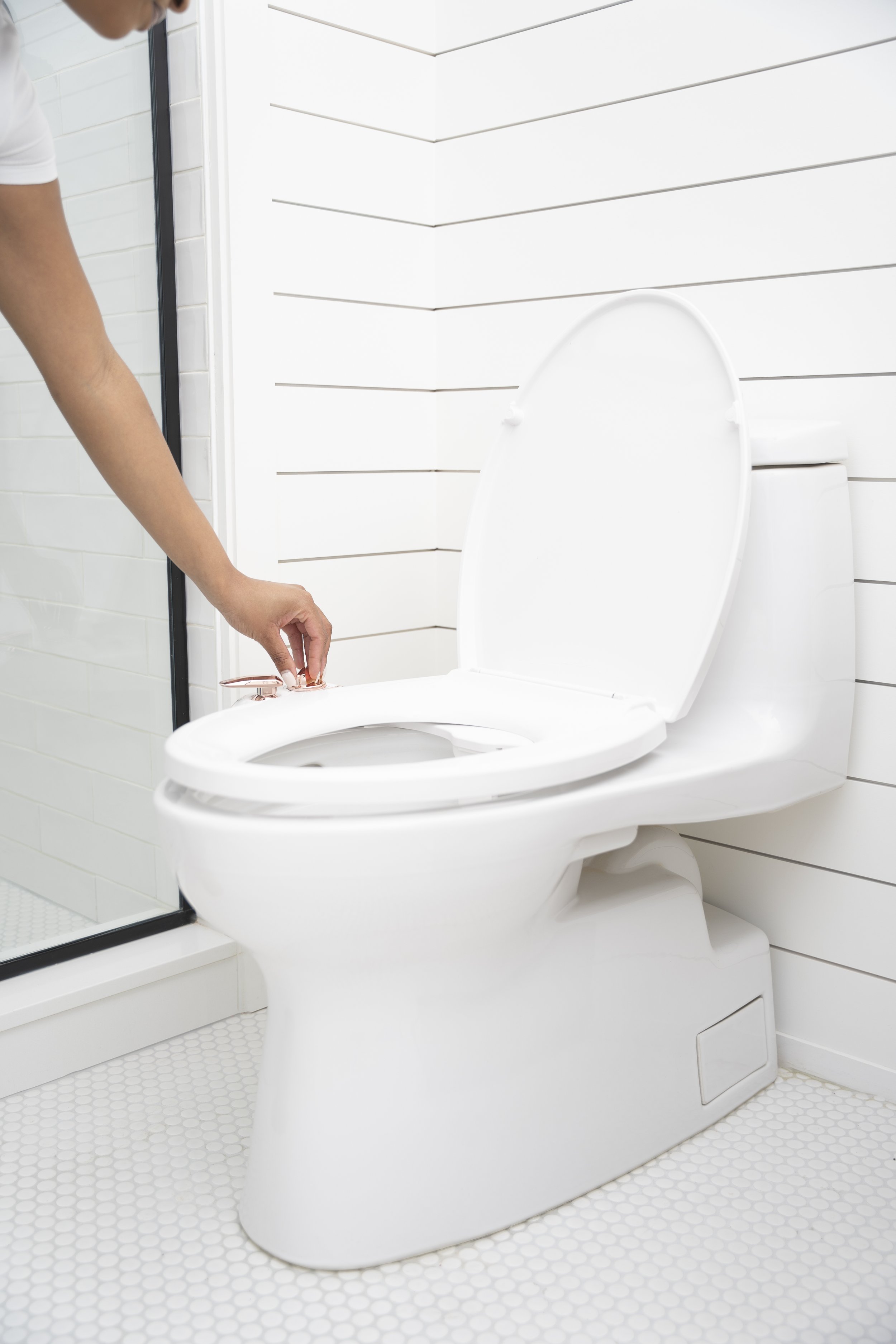 LUXEBIDET-32.jpg