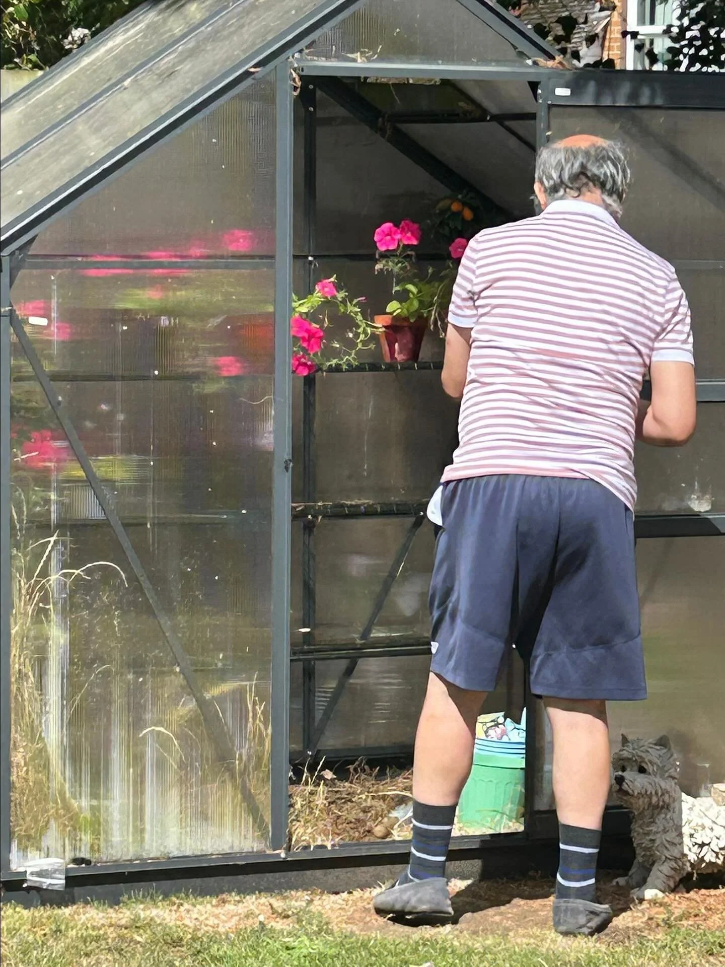Our Ray planting some beautiful flowers in the garden🌺🌸💐