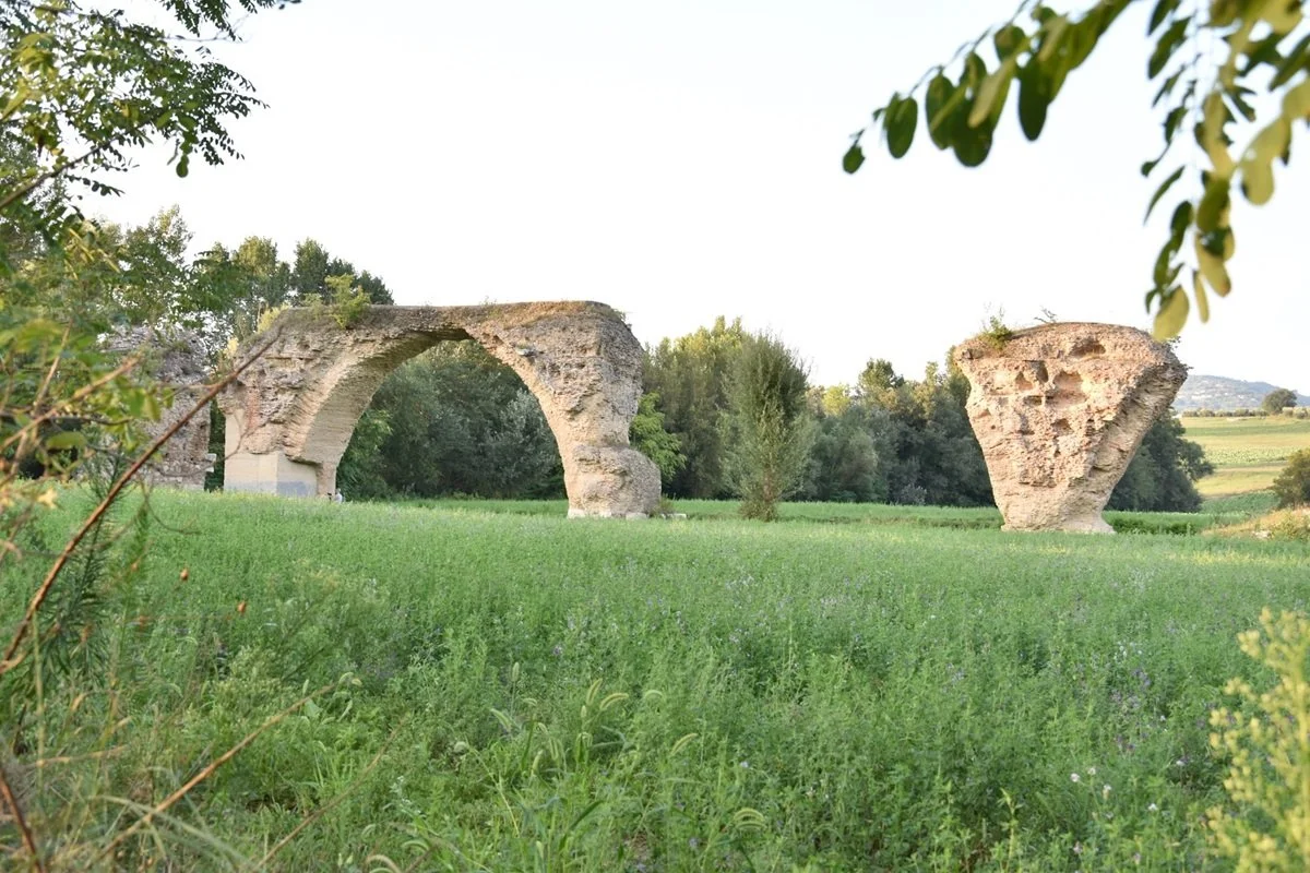 ponterotto.jpg