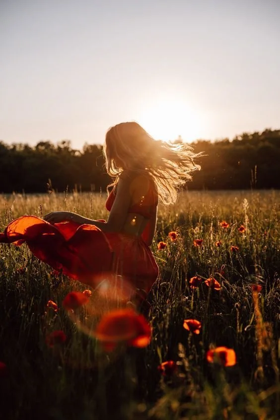 mohnblumen_insta.jpeg