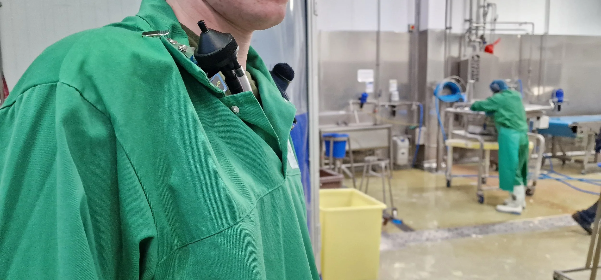 Why Environmental Monitoring Is a Smart Investment for Your Business