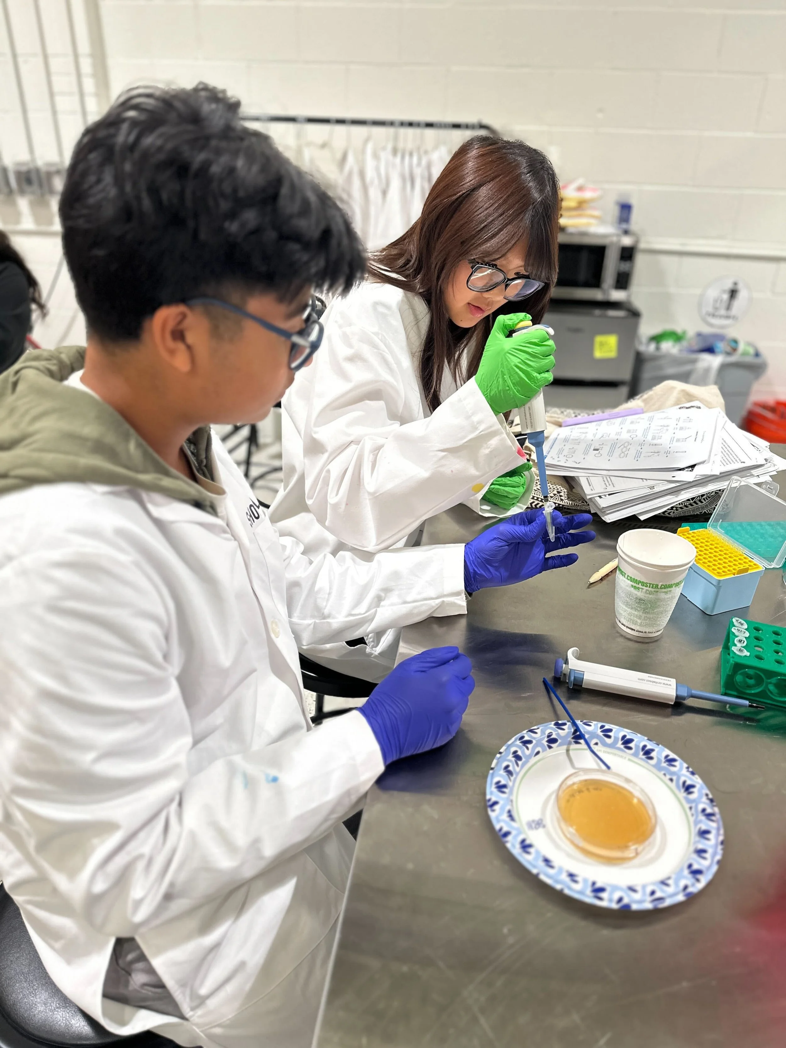 Two scientists in a laboratory working with petri dishes and pipettes, one woman and one man, both wearing lab coats and purple and green gloves.
