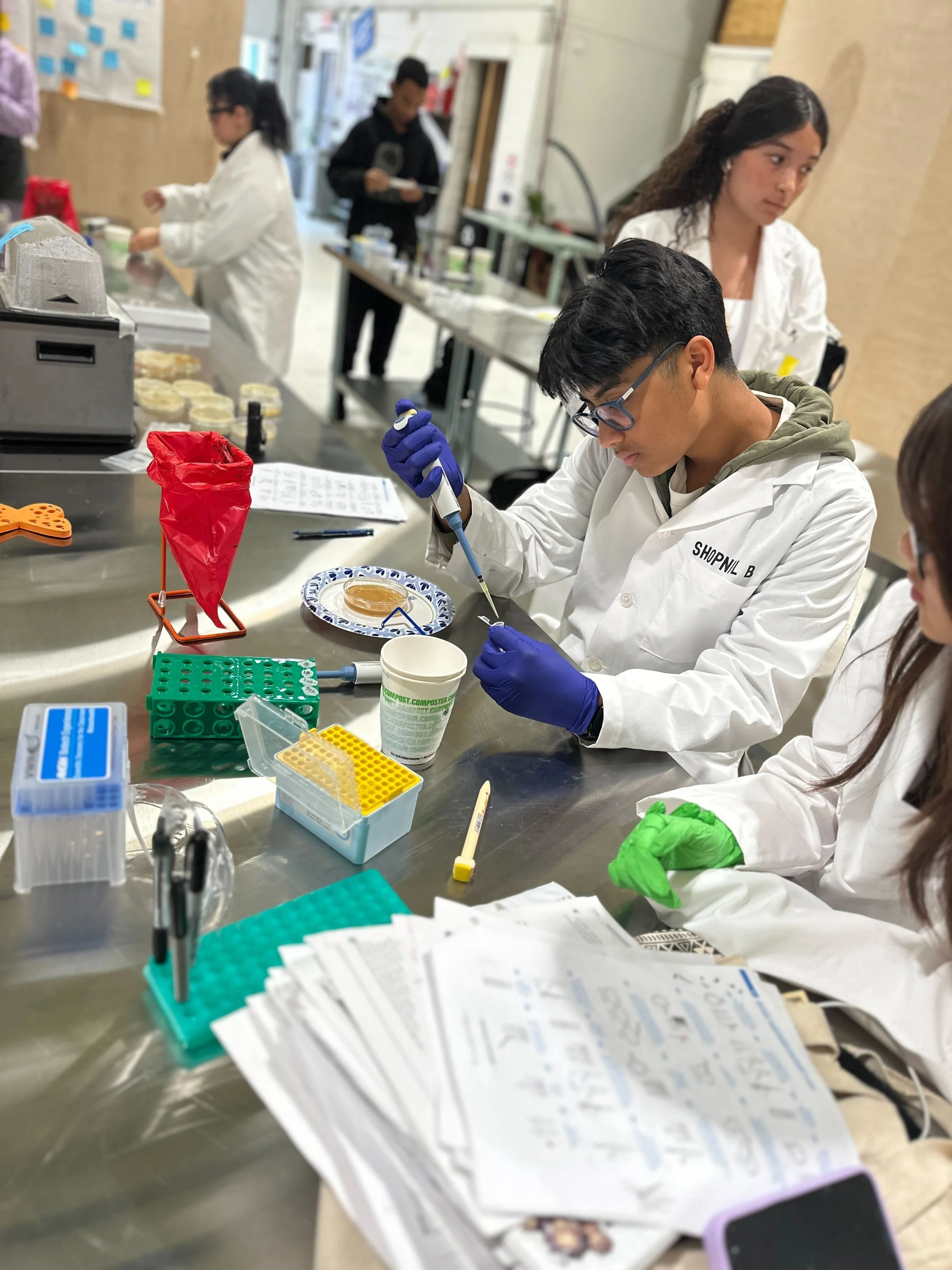 Students working in a laboratory, conducting experiments with test tubes and scientific equipment, wearing lab coats and gloves.