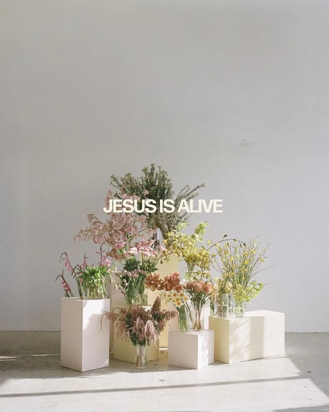 JESUS IS ALIVE ☀️

excited for today and what it means !!! death could not hold Him and the grave is empty 

have a good sunday 🌼 

#easter #church #genz #eastersunday #spring