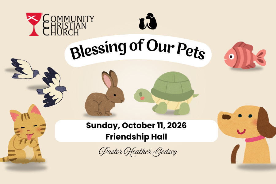Blessing of Our Pets