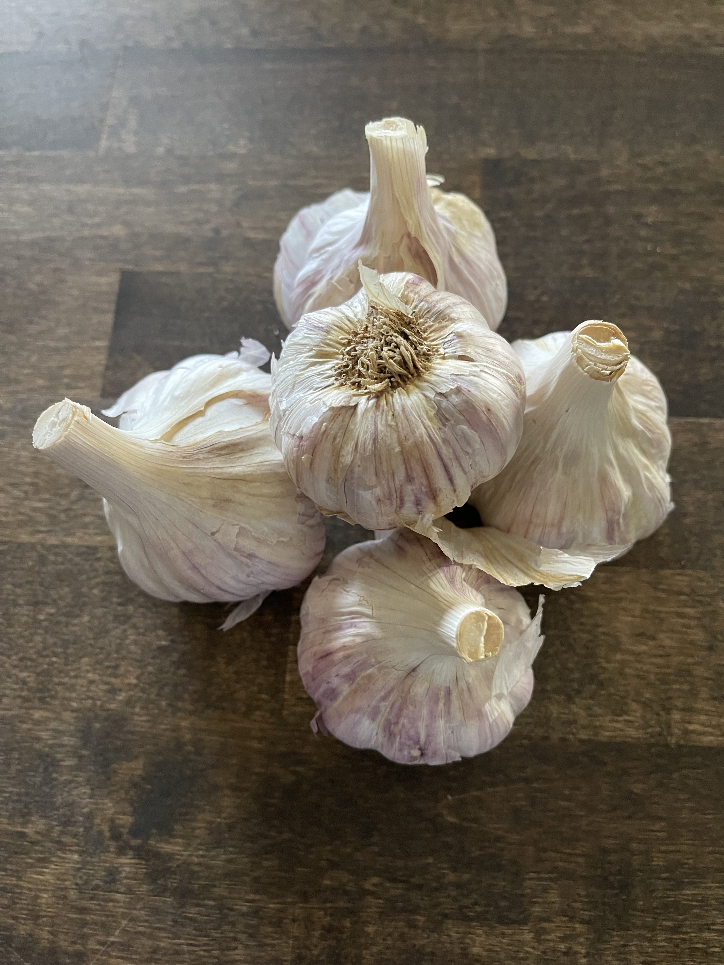 Chesnok Red Seed (1 lbs)