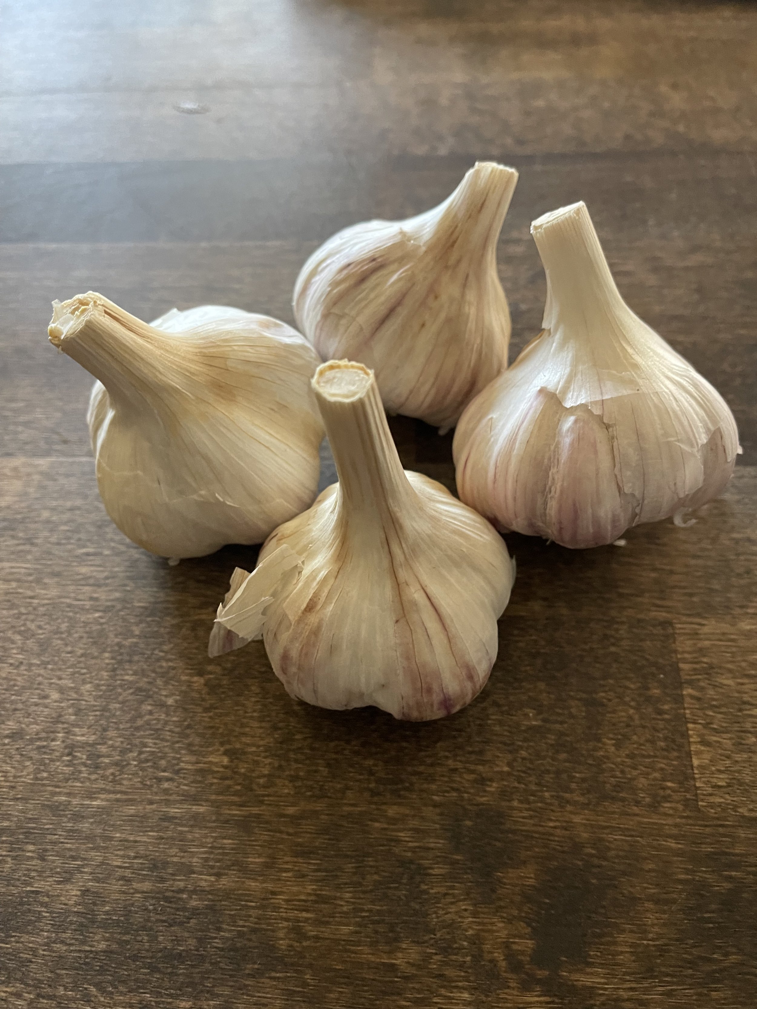 Garlic Seed Variety Pack 1 lbs
