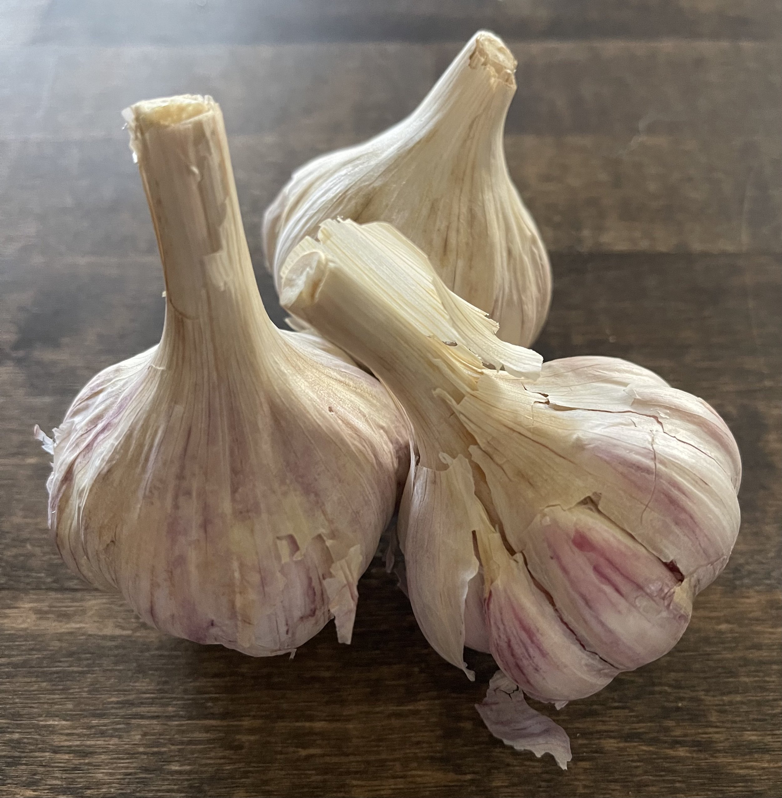 Pehoski Purple Seed (1 lbs)