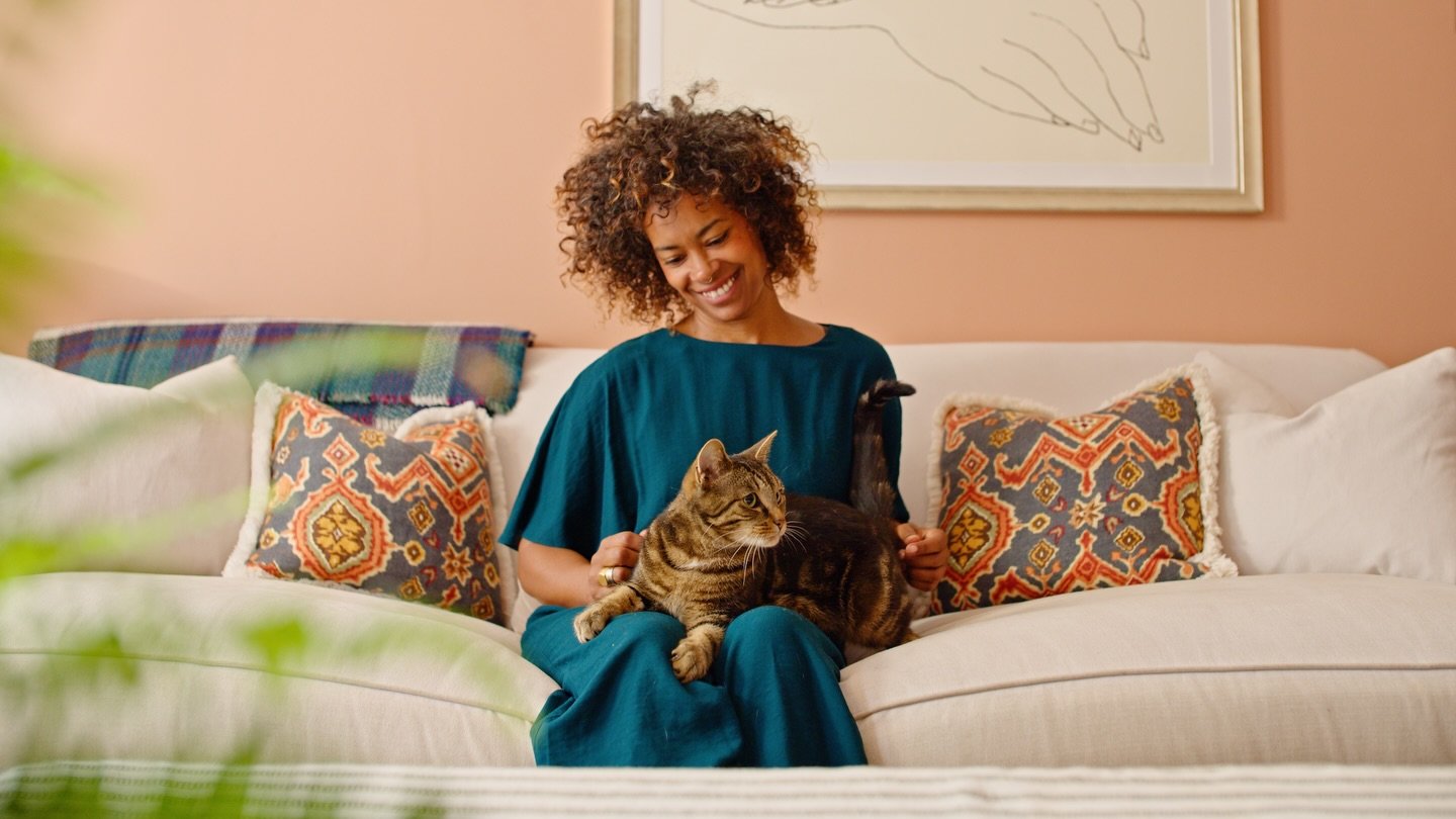 Trusted House Sitters - How It Works 🐾🐶

A fun lil&rsquo; handful of frames from last summer, back shooting with the lovely team at @ocdstudio_ for @trustedhousesitters recent &lsquo;How It Works&rsquo; video 🐈🏡

Huge love to all the team involve