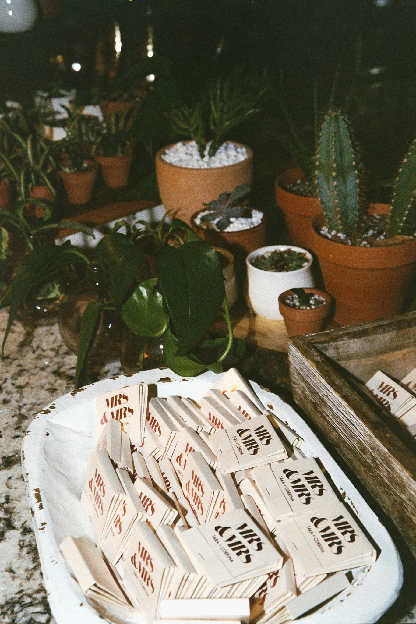 Tara + Corrina2838.jpg