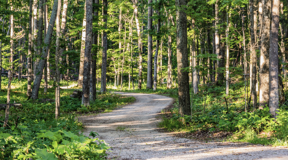 Why Winding Pathway Counseling