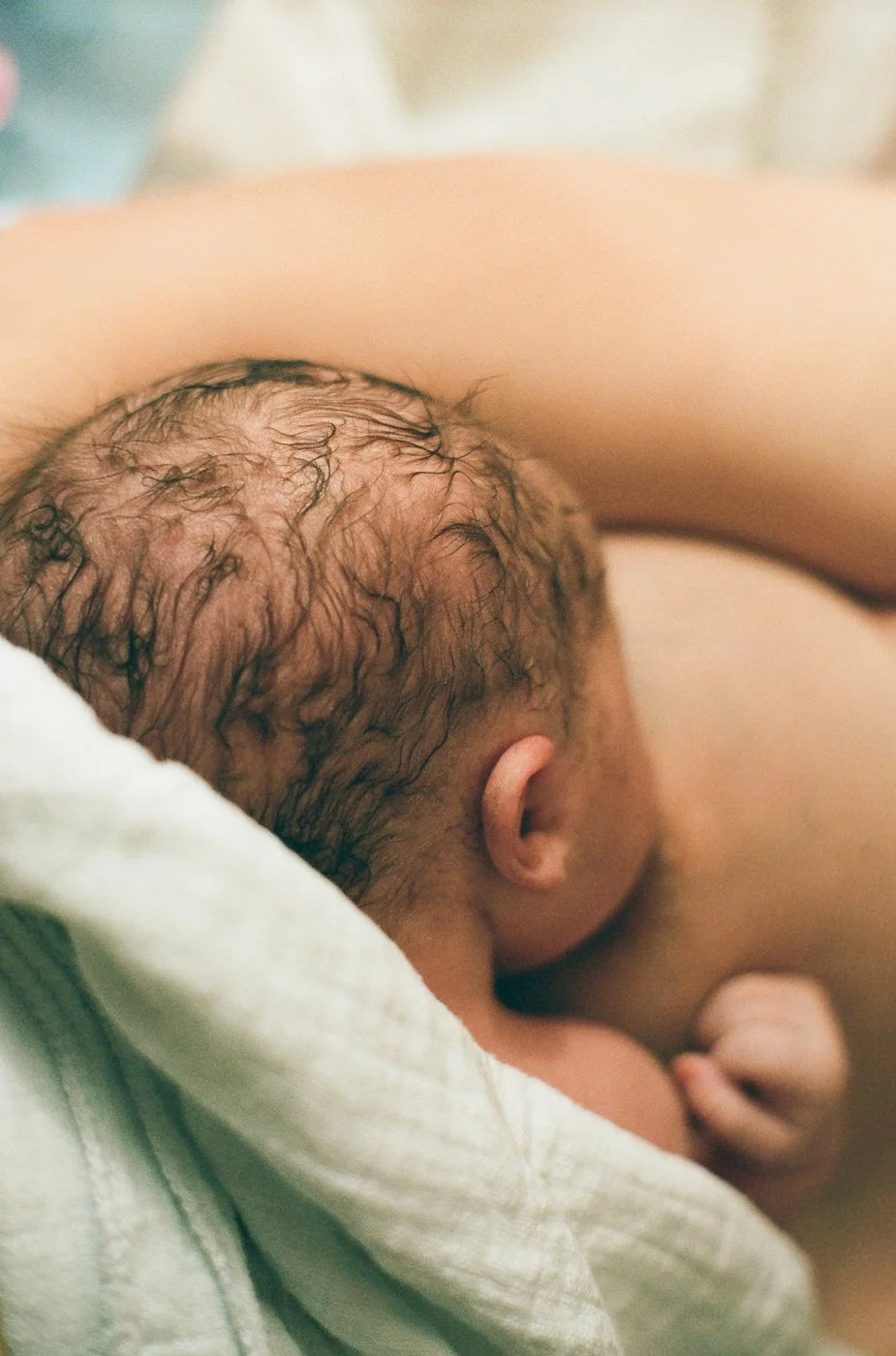 Neugeborenes beim ersten Stillversuch direkt nach der Geburt im Krankenhaus in Mainz - analog fotografiert