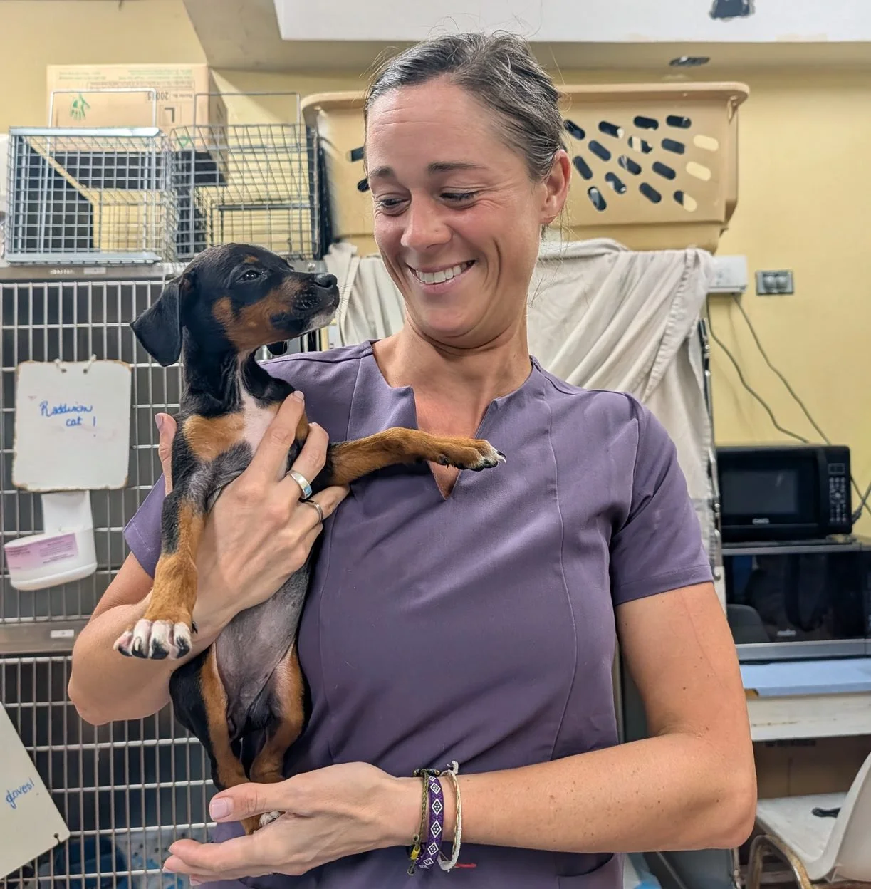 Ask the Vet Q&amp;A: Does diet pet food actually work?