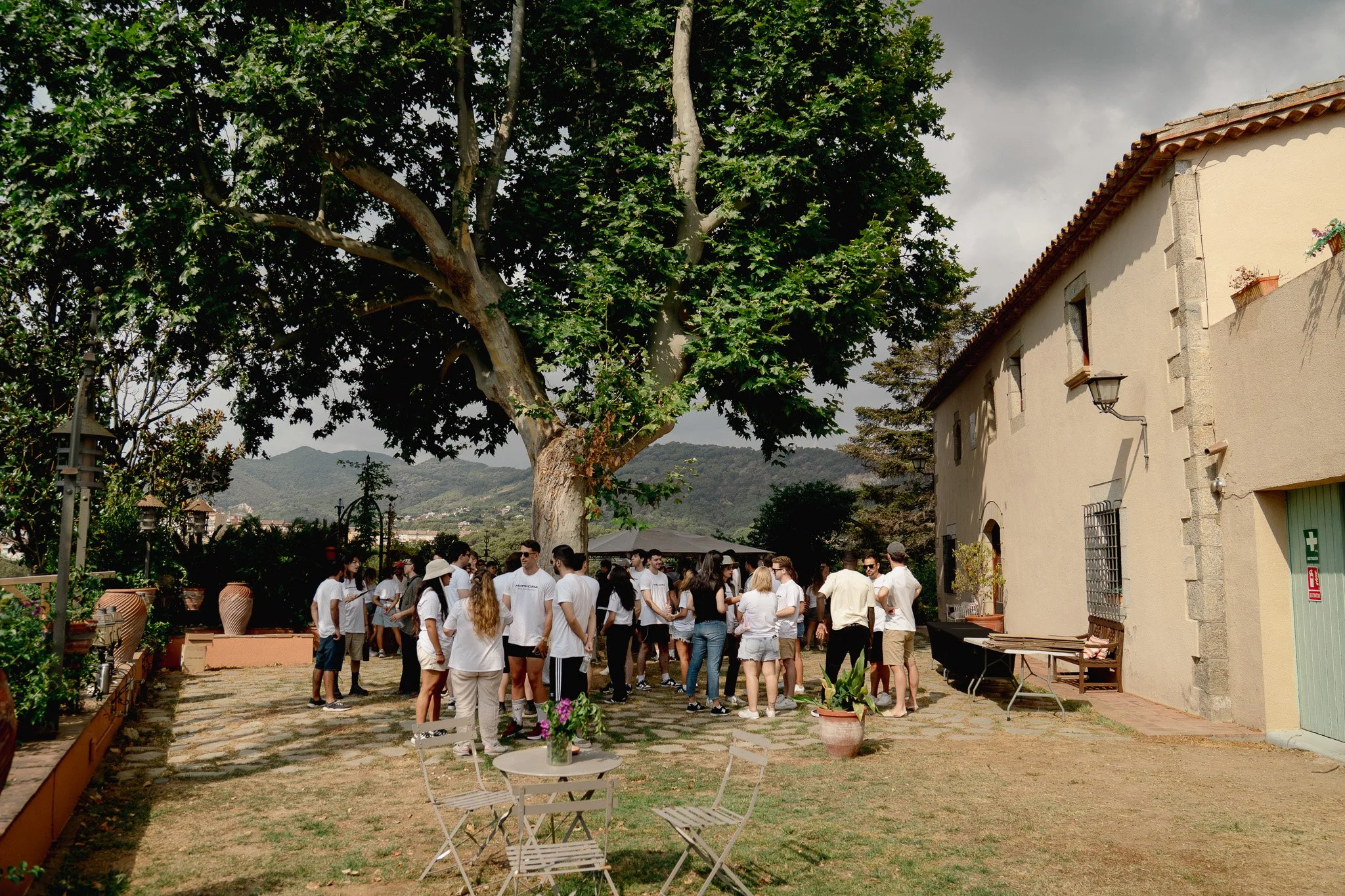 Summer meet - Amphora