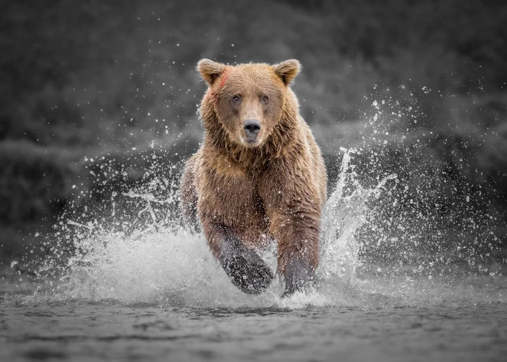 Closing the Distance