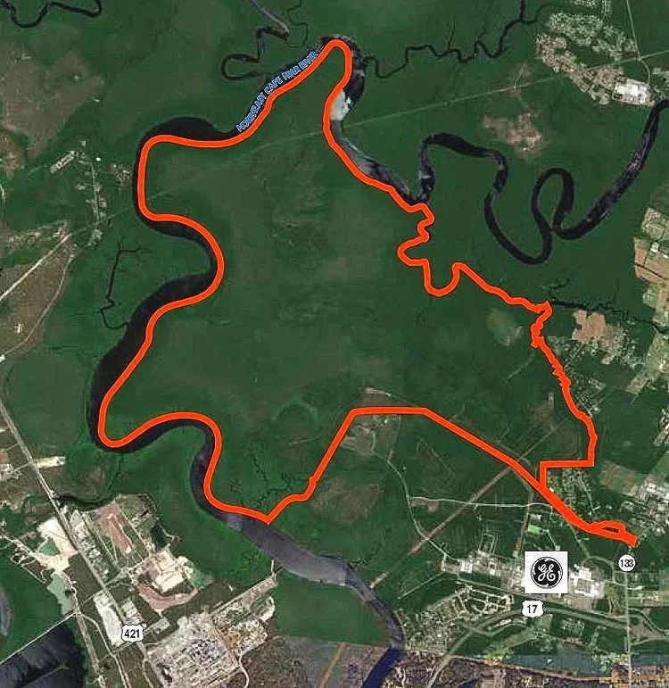 Sledge Forest map.webp
