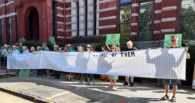 Oct., 2025 - We presented our elected officials with a stack of petitions with almost 13,000 signatures - all who signed to support the protection of Sledge Forest. A rally was held outside the courthouse before the meeting where we unfurled a scroll