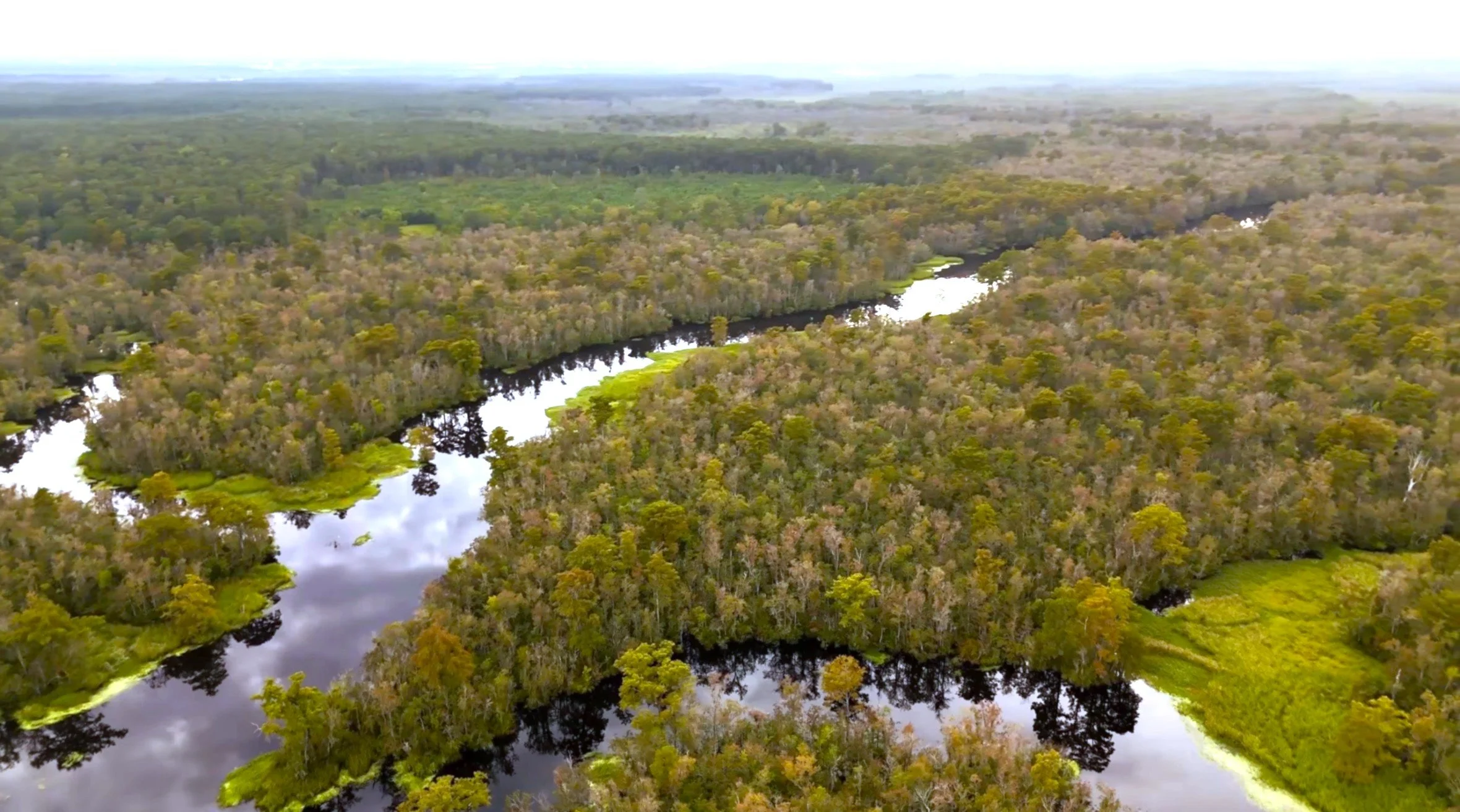 Drone View2.jpeg