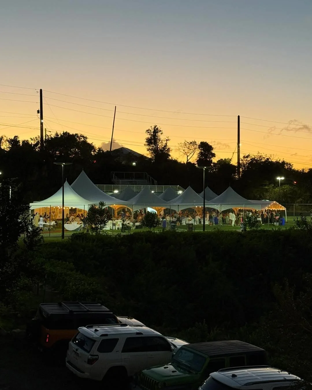 We have been working with Gifft Hill School since 2009.  This year was another successful event for the children on St John!  #stjohn #usvi #fundraisingauctioneer #gala
