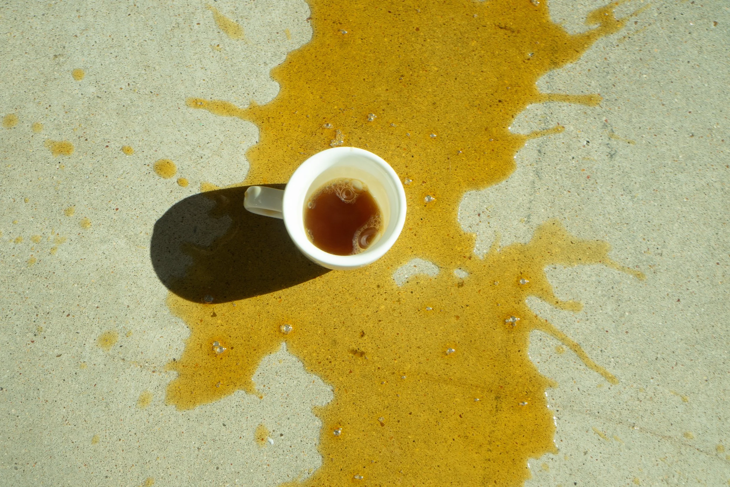 PALOMA RND 1 WEB PICS-14.JPG