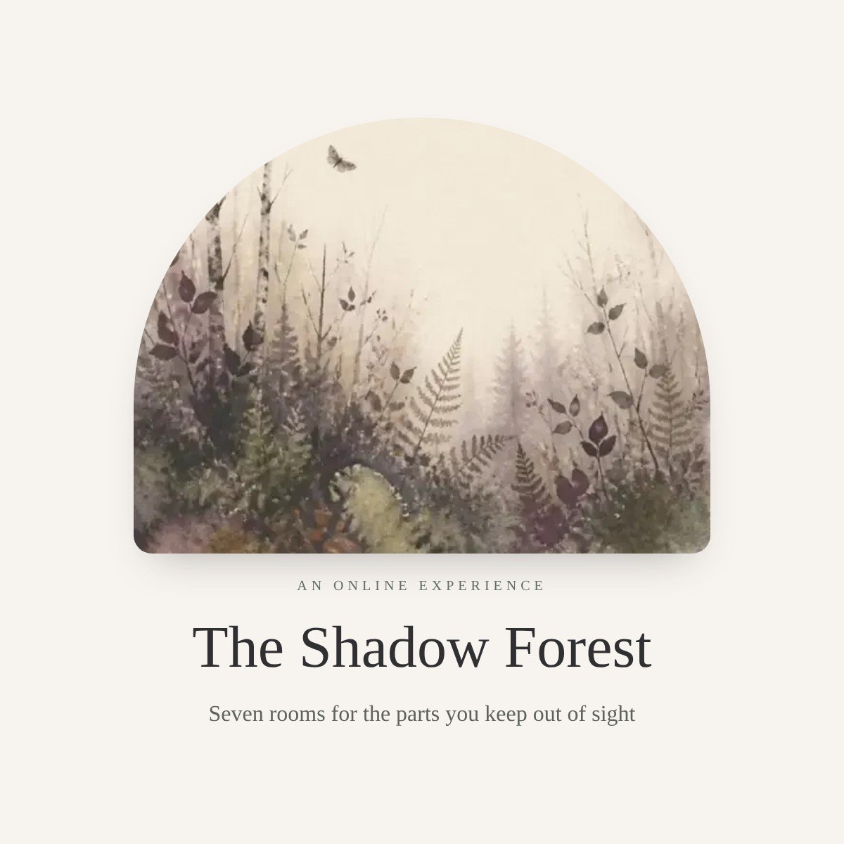 product-shadow-forest.jpg