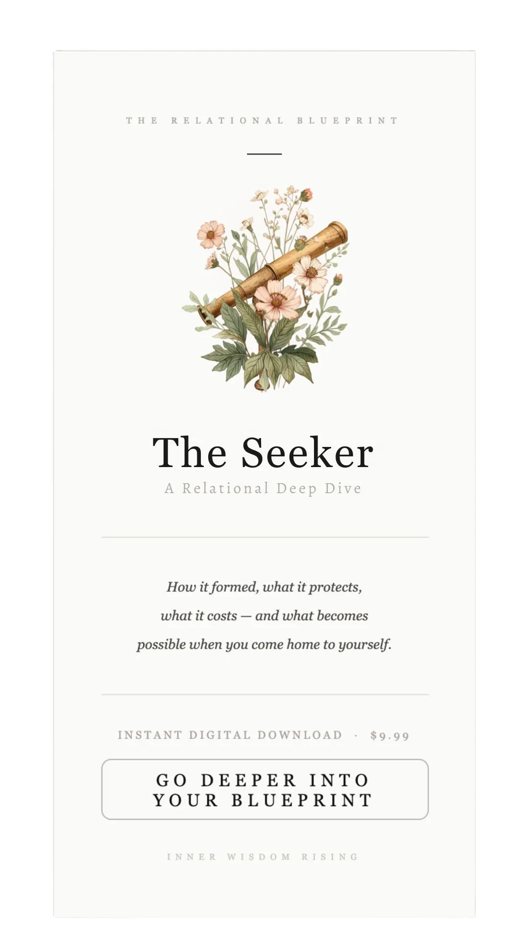 The Seeker
