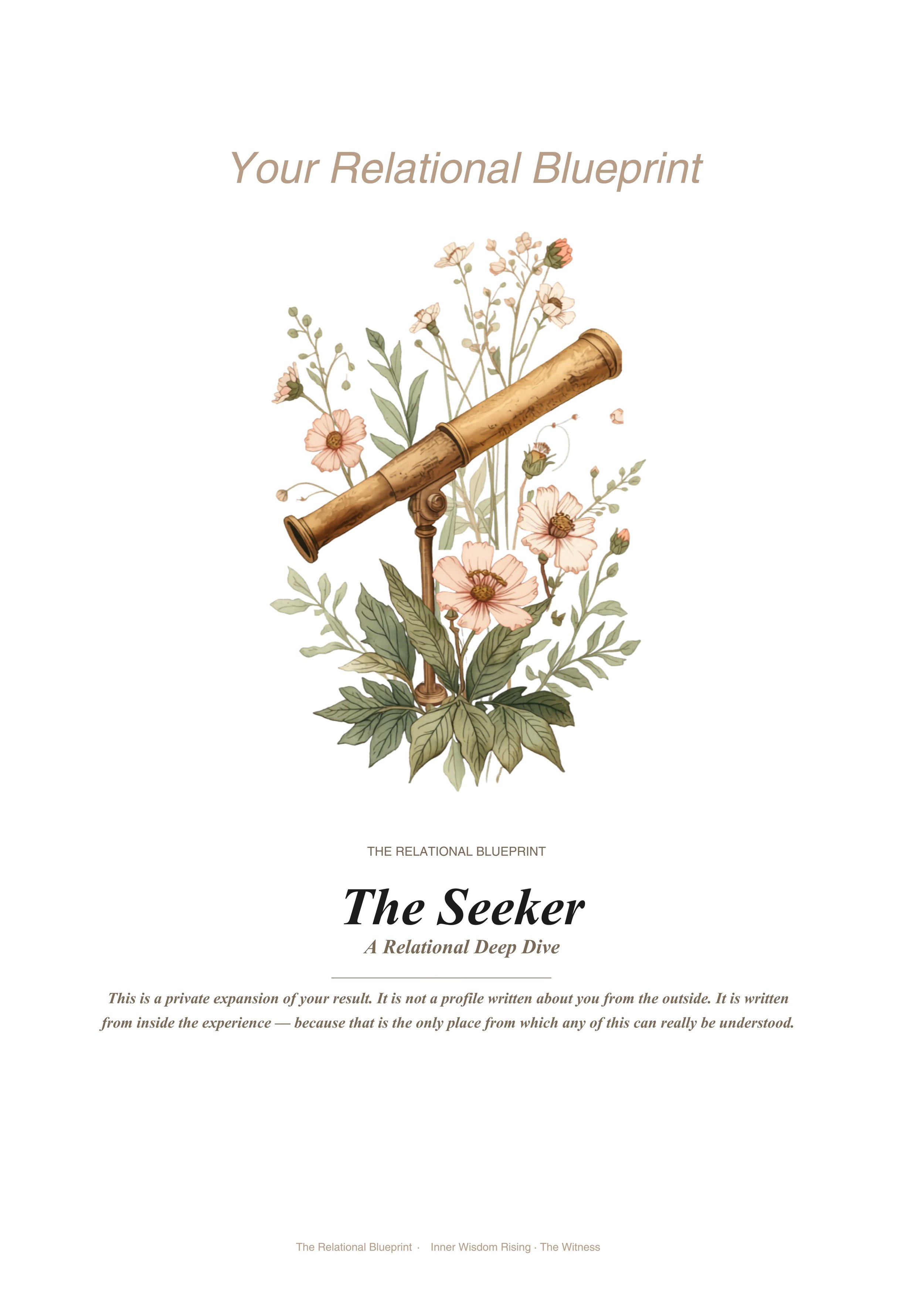The Seeker