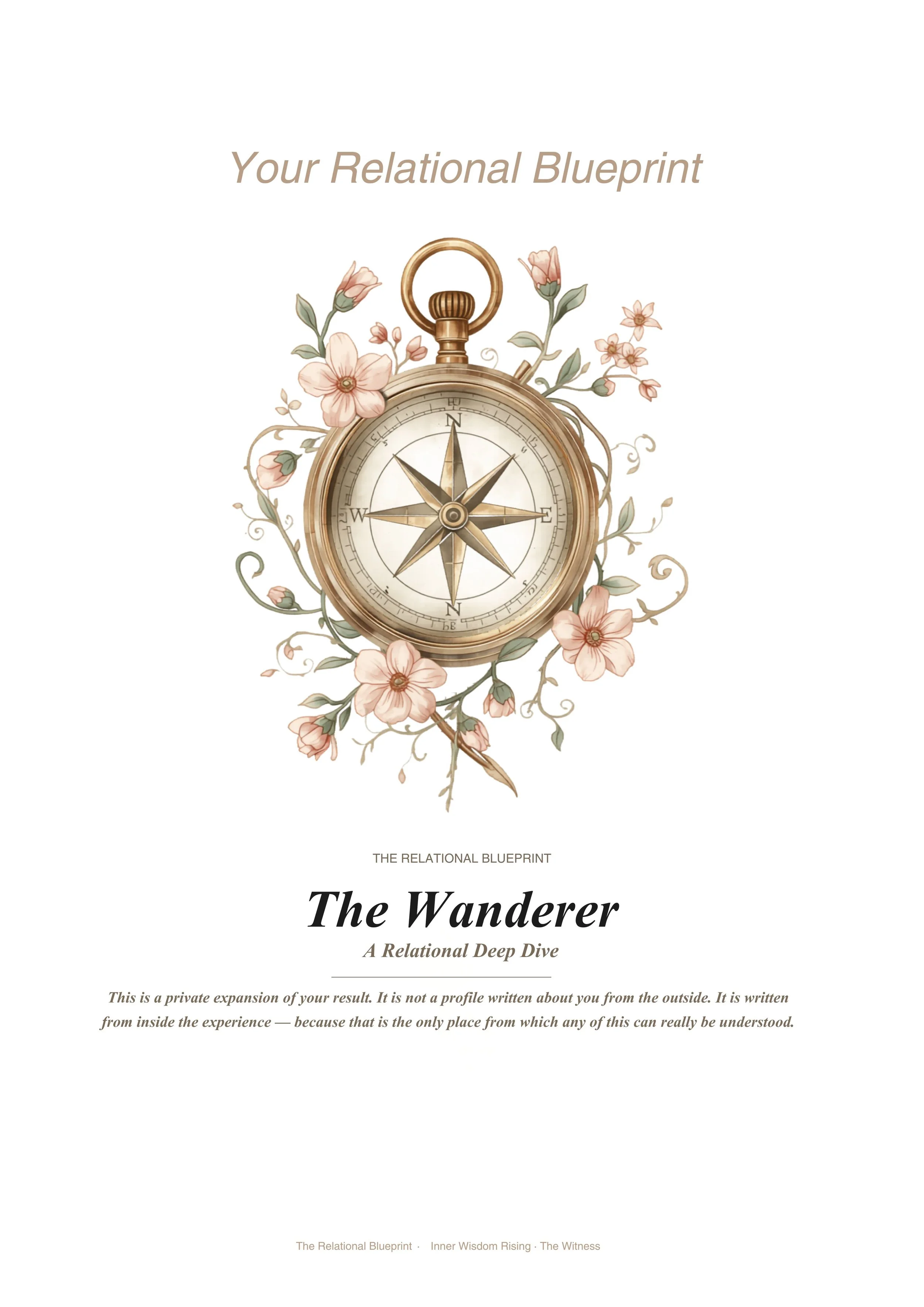 The Wanderer‍