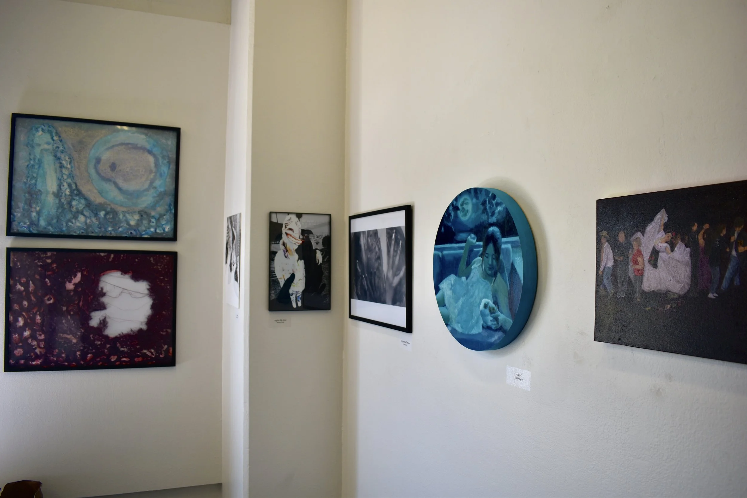 DSC_0441 2.jpg